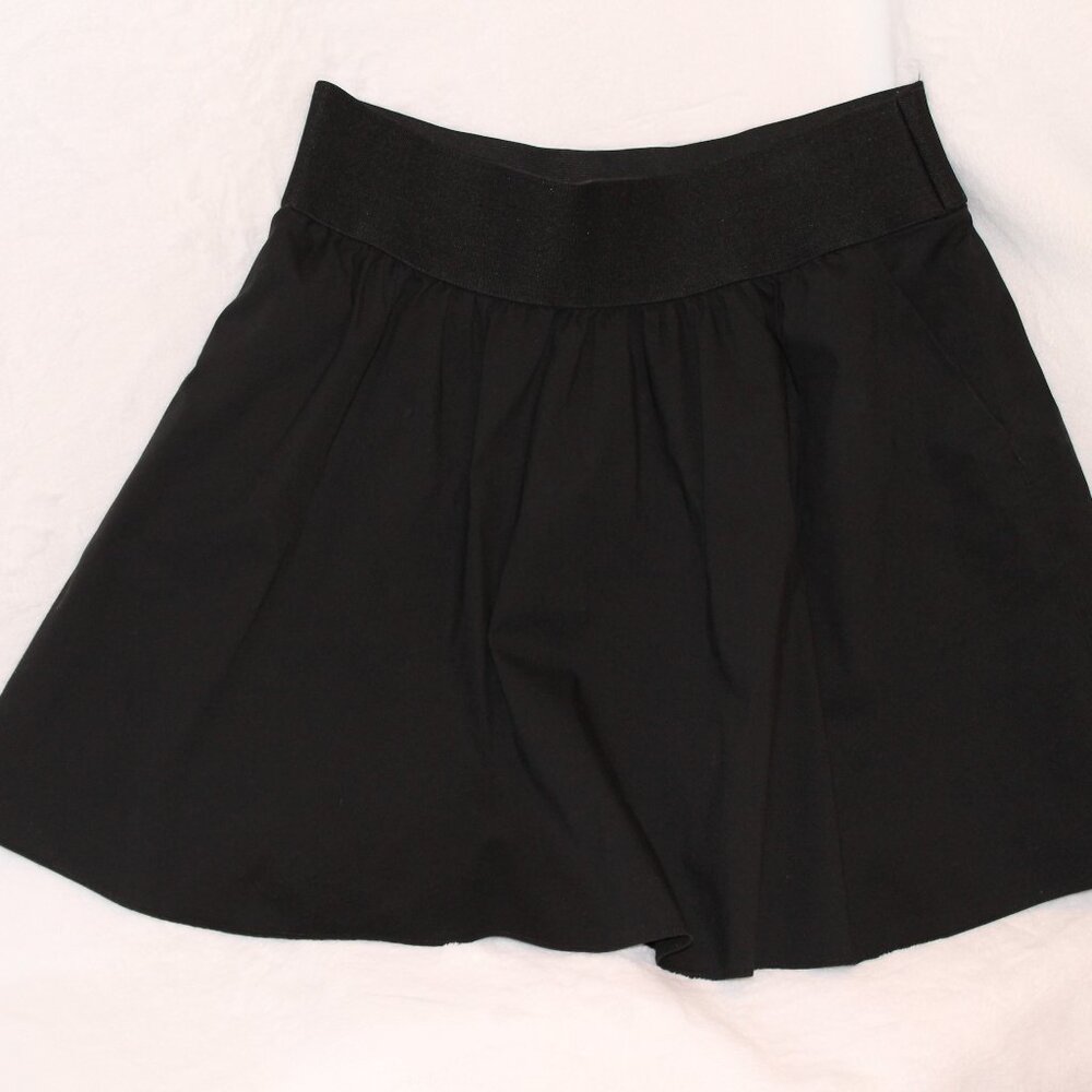 Express Black Skirt